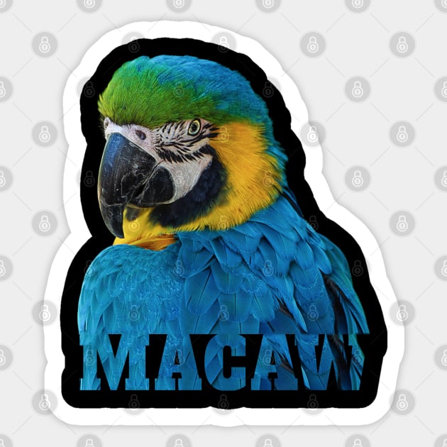 Beautiful Blue and Gold Macaw Parrot Image and Word Sticker by Einstein Parrot